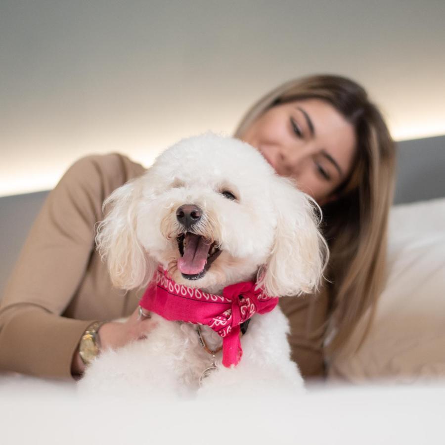 Arryvo Hotel Lecce Kültér fotó
